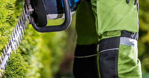 Trim With Confidence: Safe and Effective Tree & Hedge Care Equipment