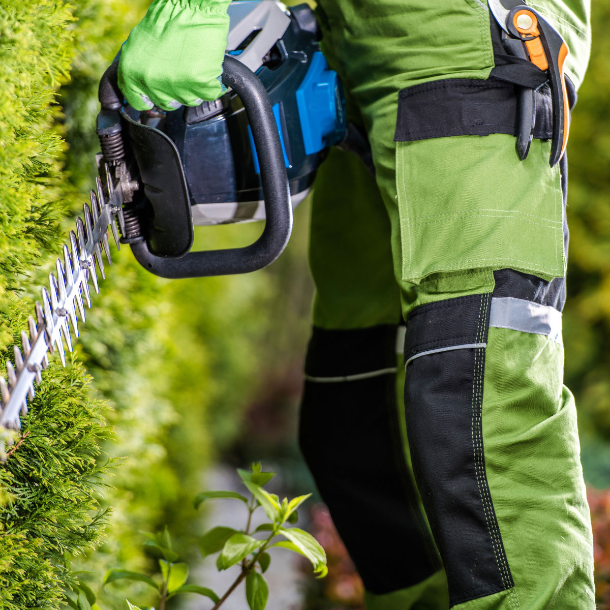 A worker using a Hedge Trimmer from Lawnmower Hospital