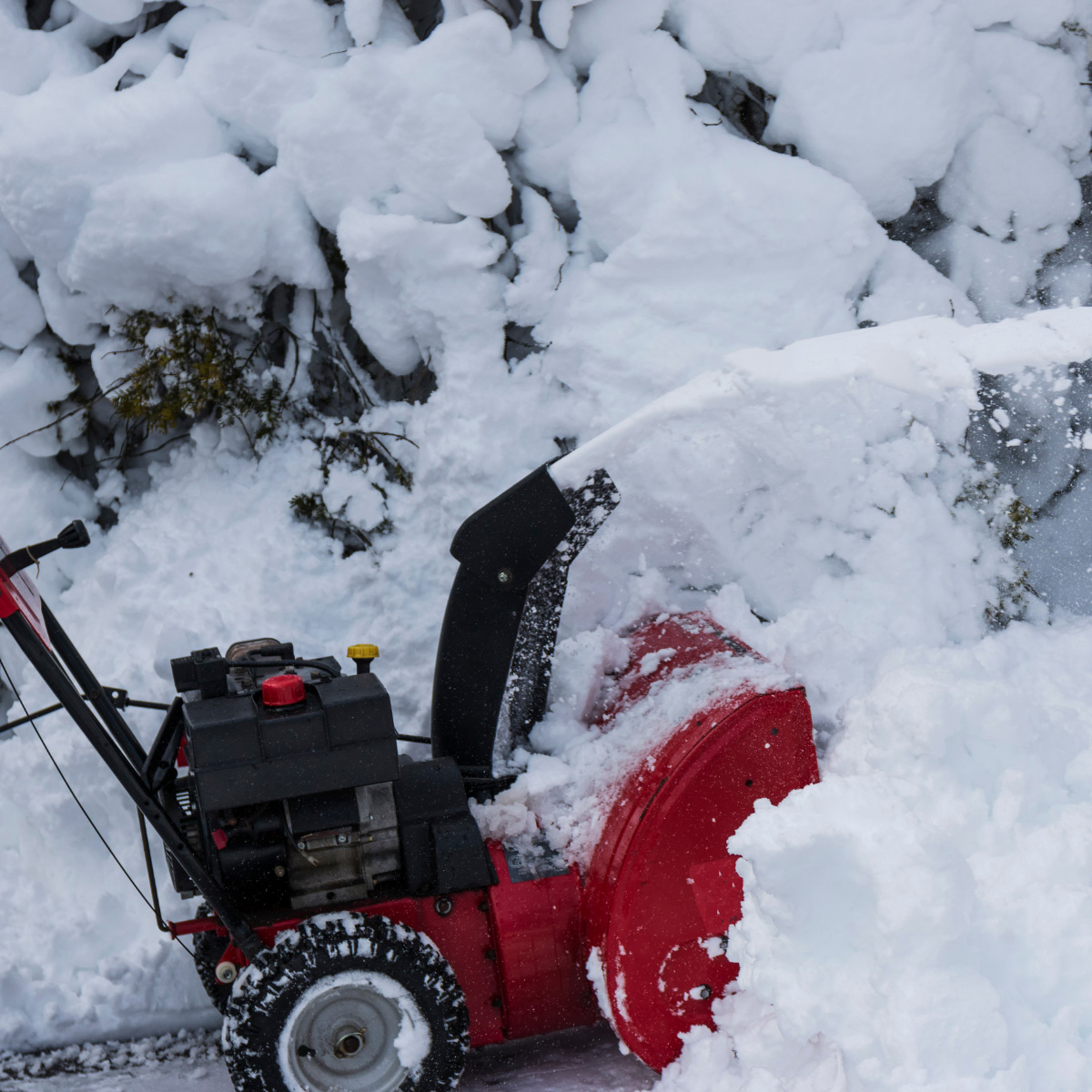 Top Snow Equipment Brands We Trust at Lawnmower Hospital