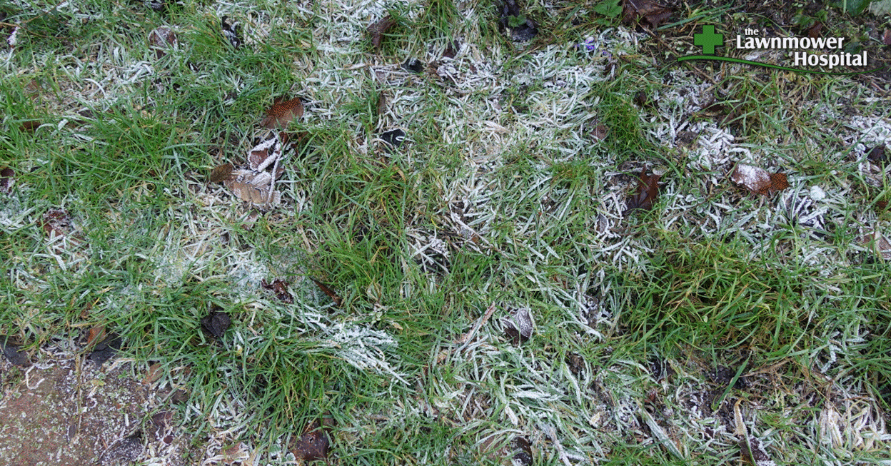 Essential Lawn Care Tools For Spring