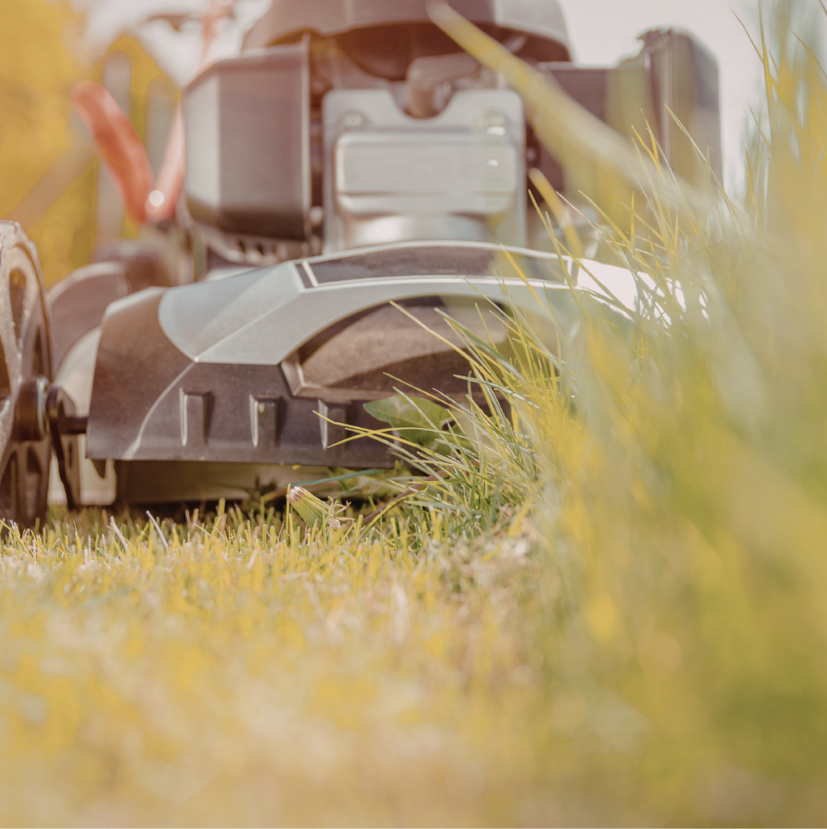 Low angle view of a gas-powered lawn mower cutting tall green grass in a backyard