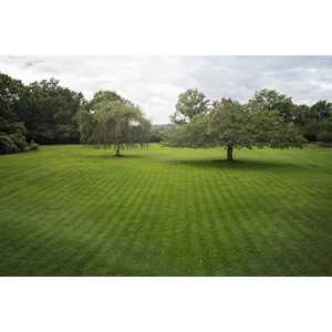 Systematic Mowing Patterns