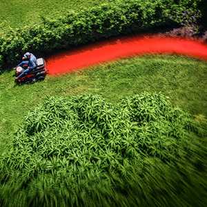 One-time smart mapping