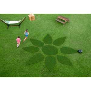 Your Lawn, Now a Living Art