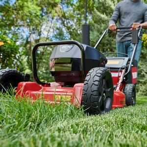 Superior Quality of Cut