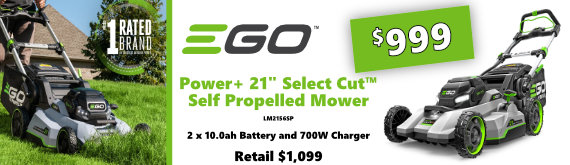 Summer EGO LM2156SP