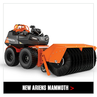 NEW Mammoth 850