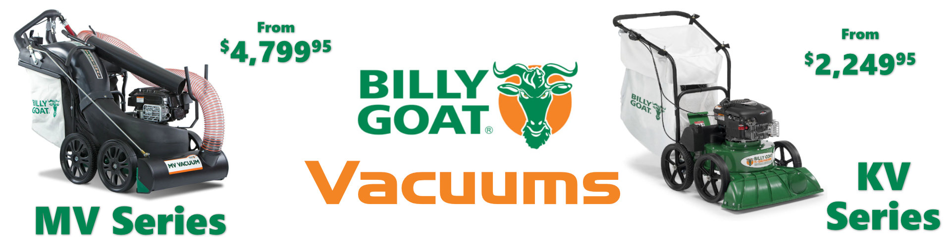Spring Billy Goat