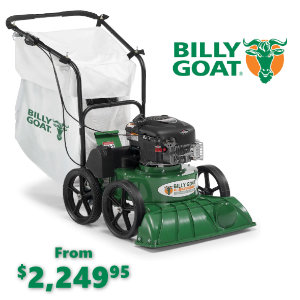Spring Billy Goat